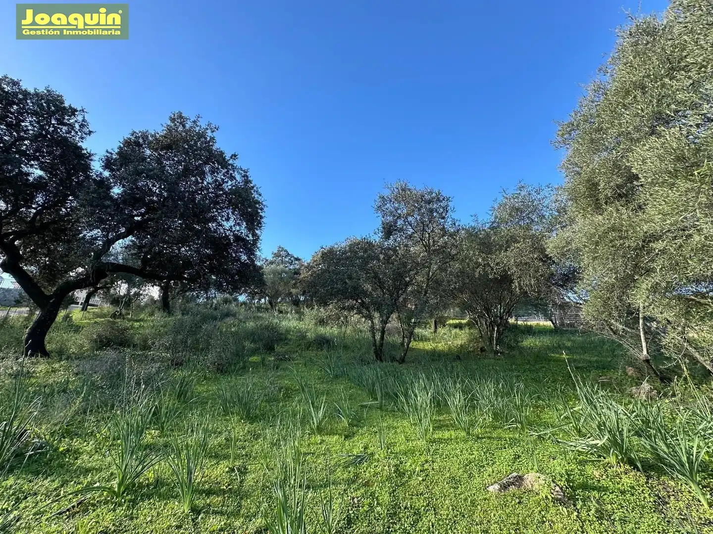 Grundstücke und Bauplätze zum Verkauf in Periurbano Este - Campiña, imagen 7