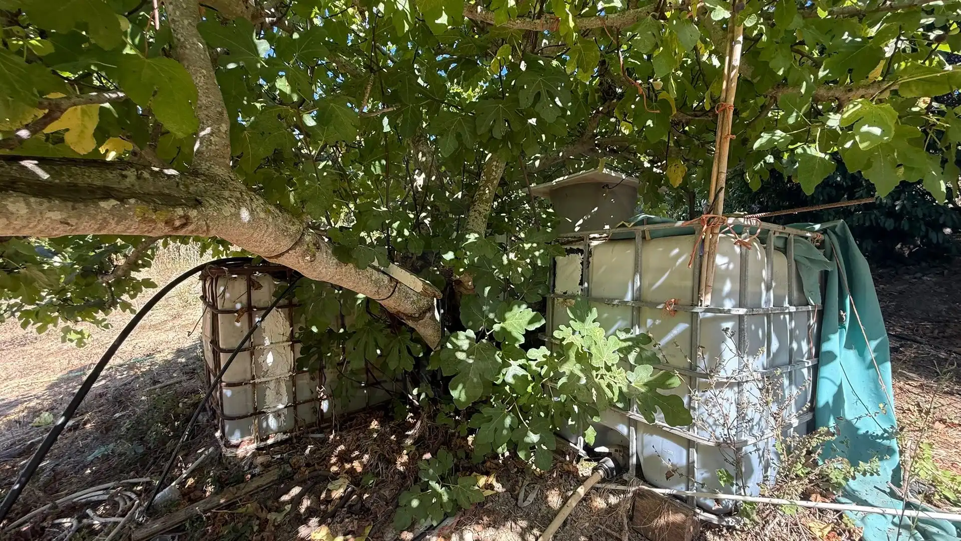 Maison à vendre à Tarifa ciudad, imagen 10