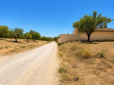 Terreno rustico in vendita a Camino de La Malahá a Padul