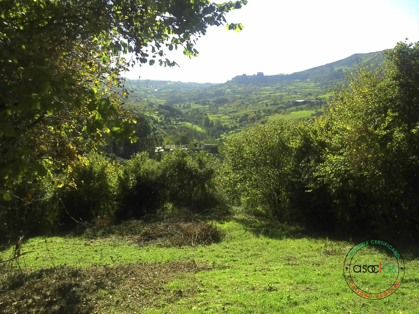 Terreno rustico in vendita a Gijón - BARRIO SAN PELAYO - CALDONES, imagen 9