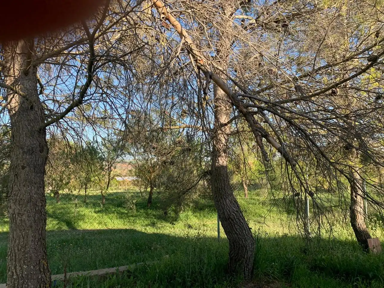 Terreni e lotti in vendita a Carrascosa, imagen 14
