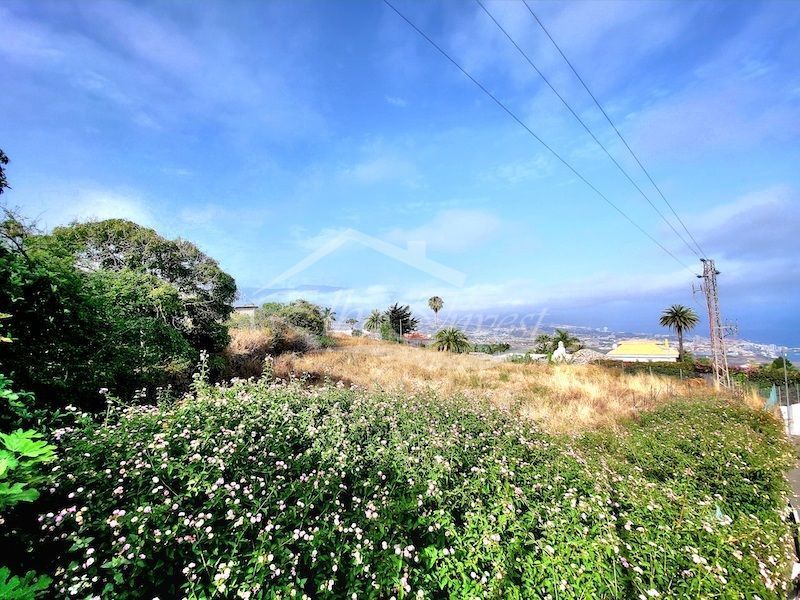 Land for sale in Santa Úrsula