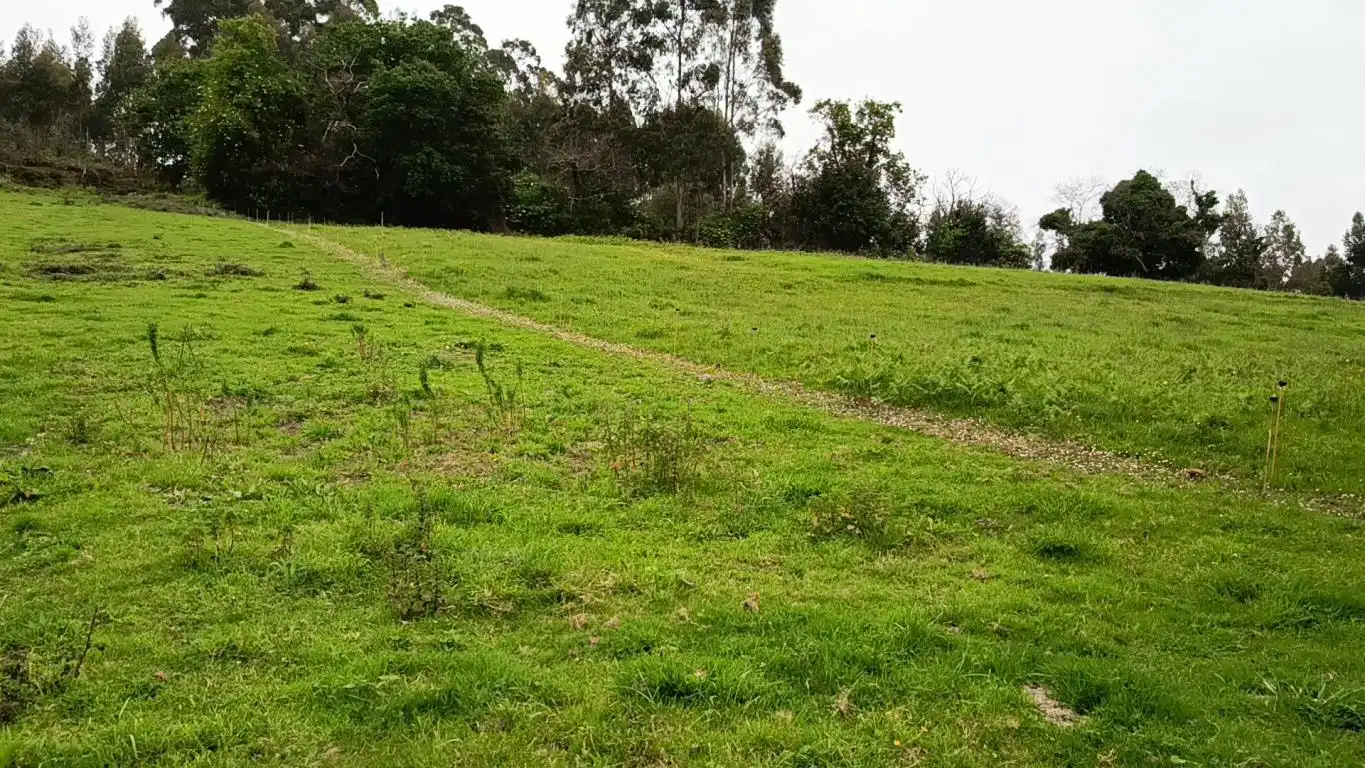 Lands and plots for sale in Lugar Laguna, imagen 7
