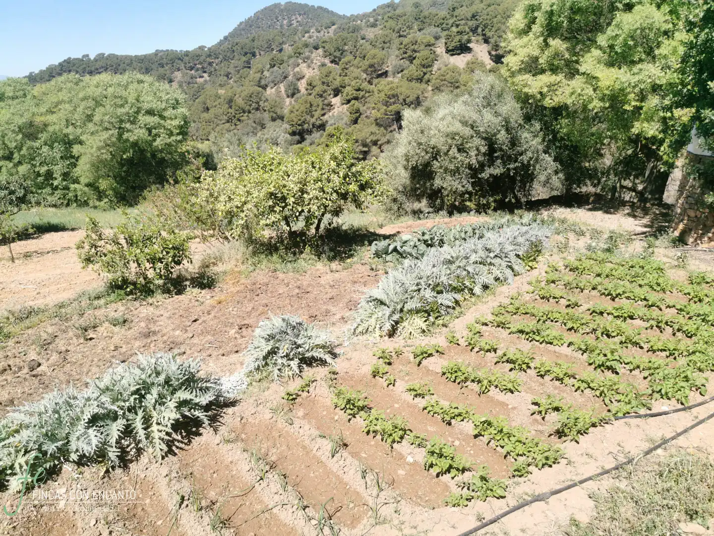 Jardí de Finca rústica en venda en Málaga amb Calefacció, Jardí privat i Piscina