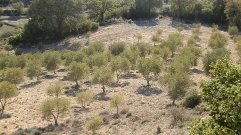 Foto 5 de Terreny en venda a Villarejo de Salvanés, Madrid