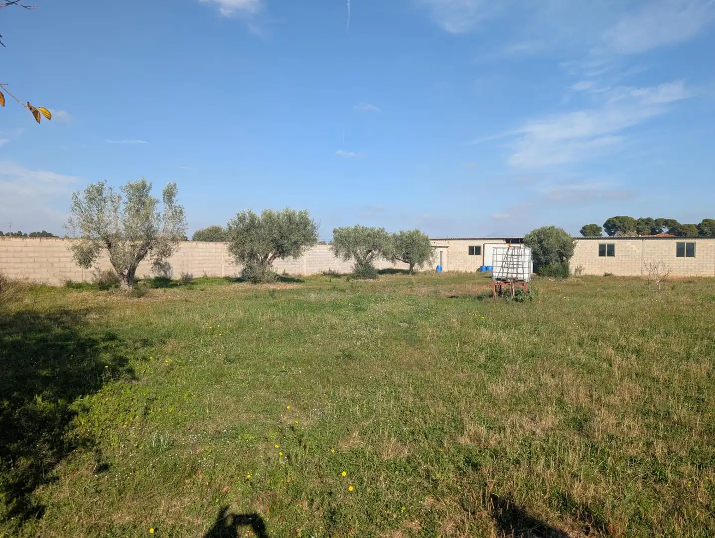 Terreno rustico in vendita a Partidas de interior - Zona Rústica, imagen 10