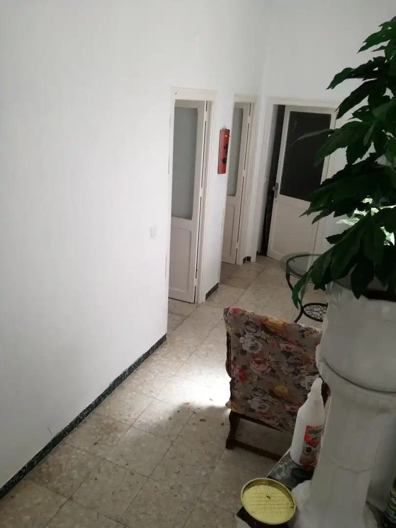 Casa rústica amb terrassa en venda a Vejer, imagen 60