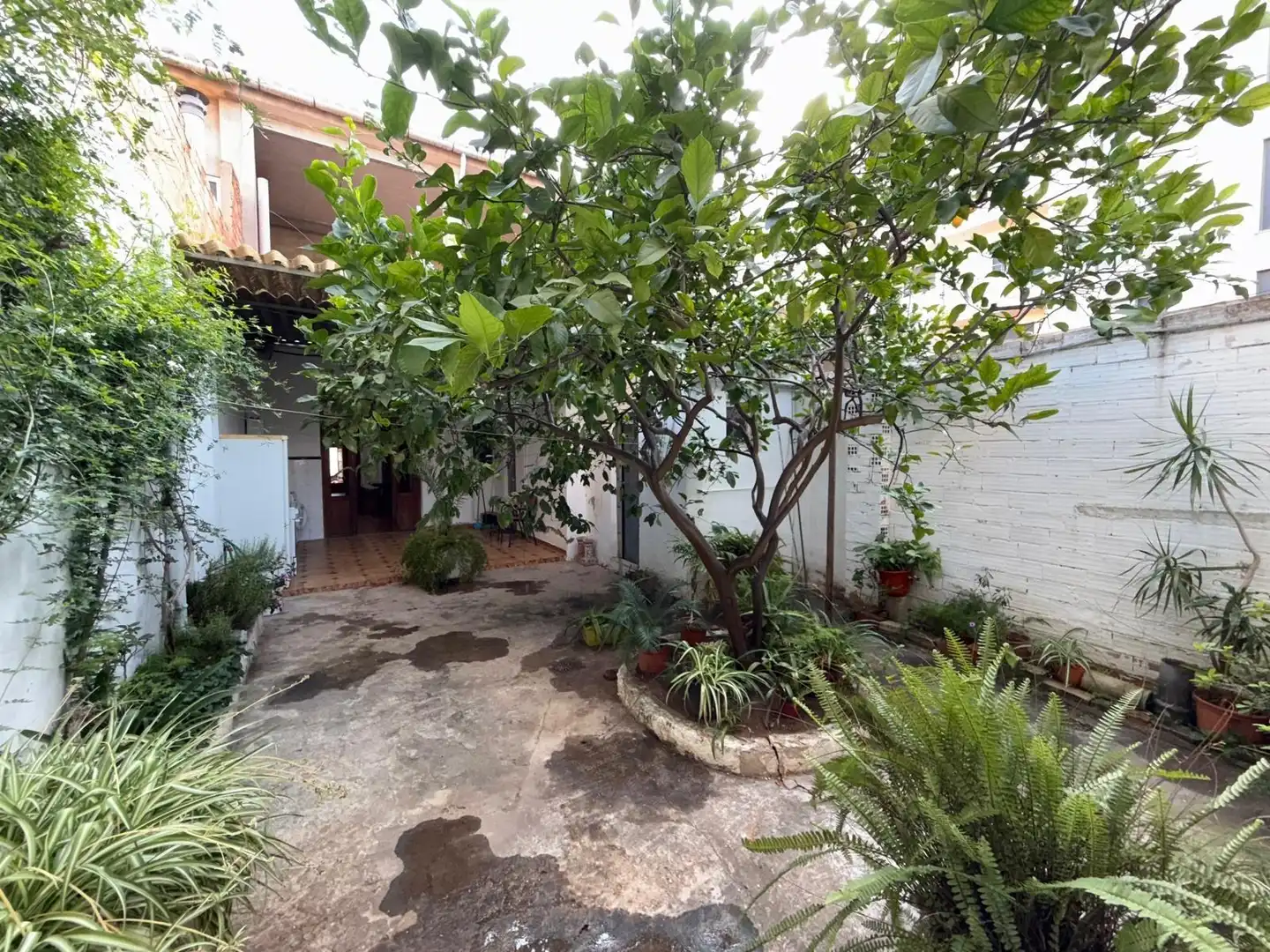 Jardí de Casa o xalet en venda en Alginet amb Aire condicionat, Terrassa i Moblat