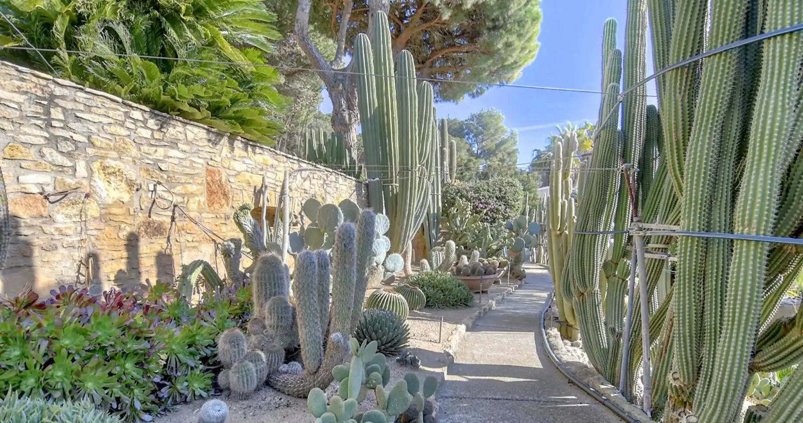 Maison à vendre à Residencial Begur - Esclanyà, imagen 12