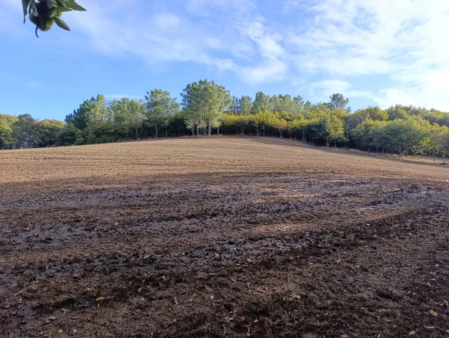 Casa o xalet en venda en Taboada amb Jardí privat, Terrassa i Traster