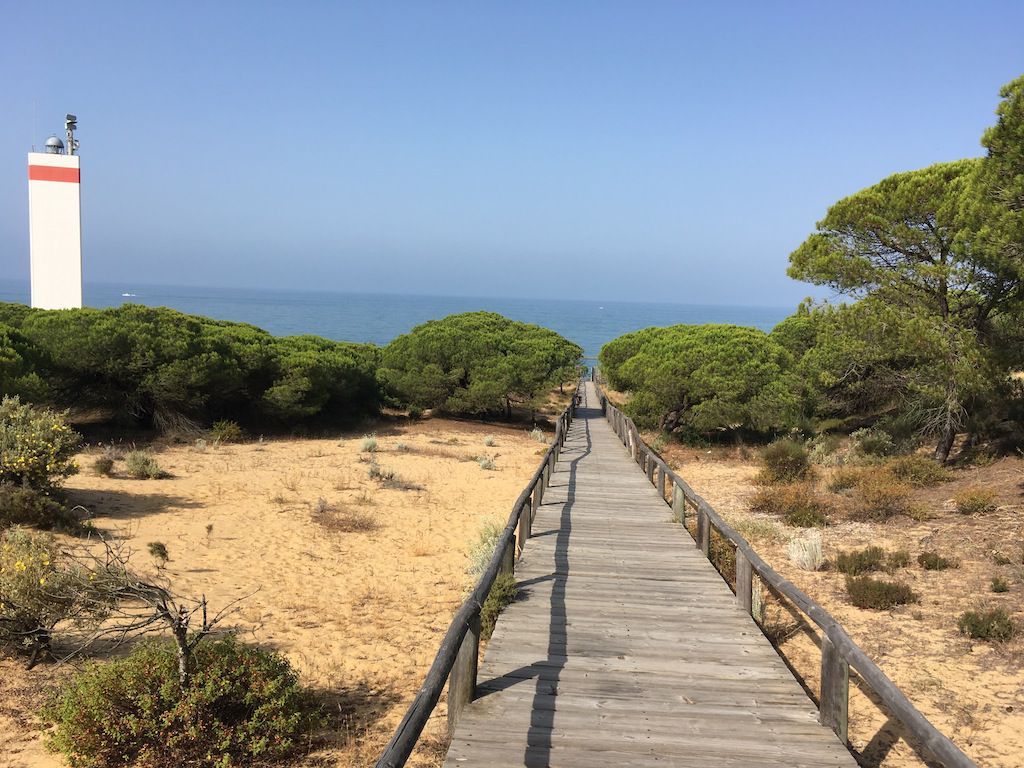 Vista exterior de Estudi en venda en Almonte amb Aire condicionat i Balcó