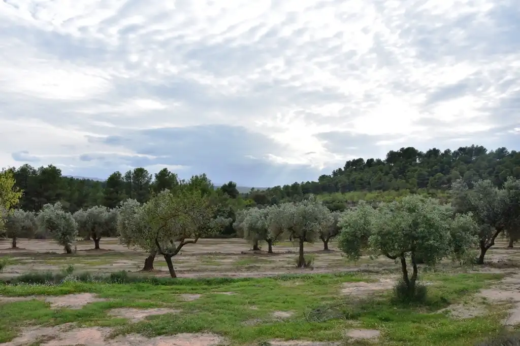 Terreno en venta en Horta de Sant Joan