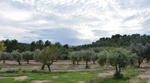 Foto 5 de Terreny en venda a Te-24, 4, Horta de Sant Joan, Tarragona