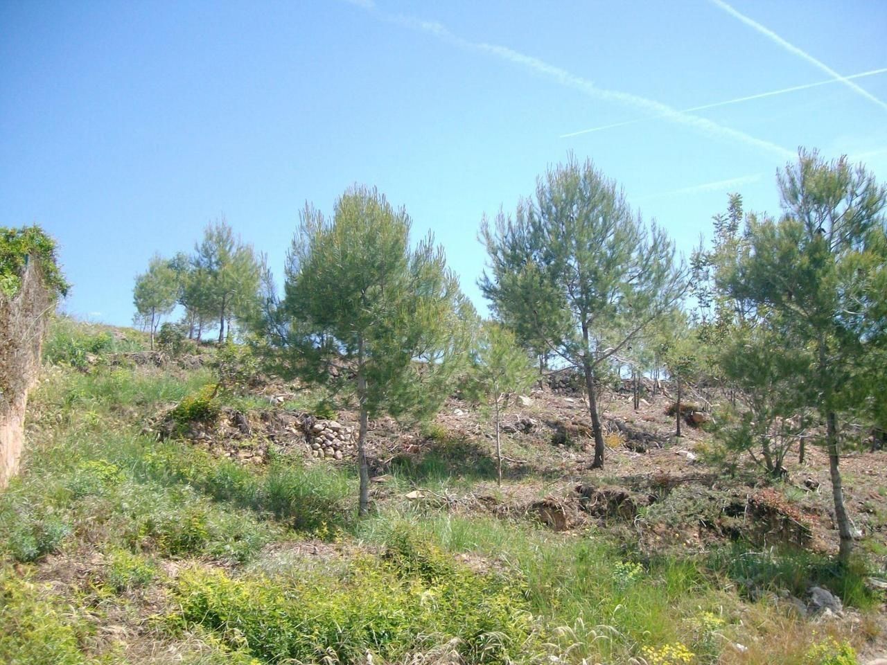 Grundstücke zum verkauf in Masllorenç