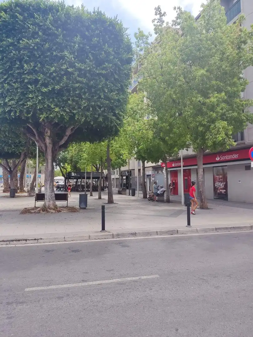 Individuel à vendre à Elche ciudad, imagen 2