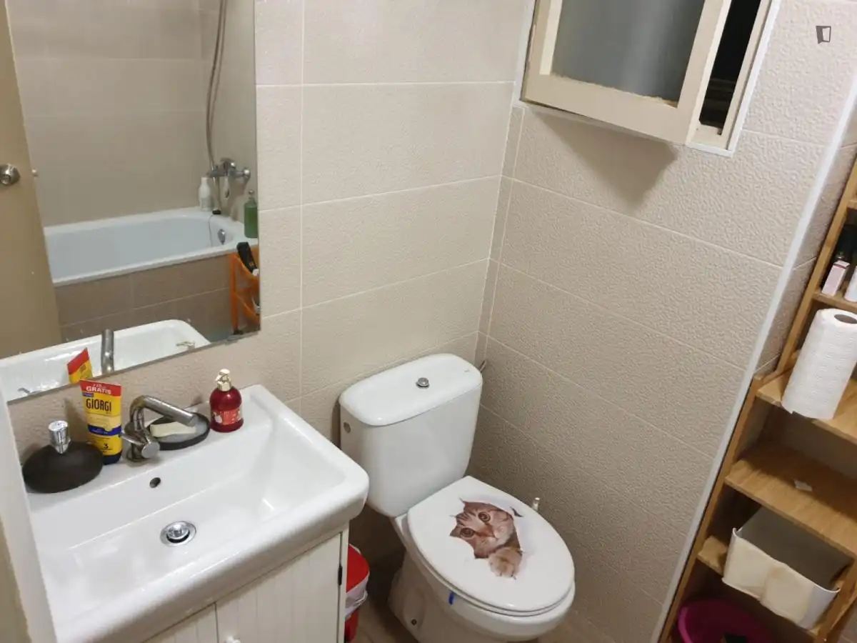 Bany de Apartament per a compartir en Barcelona amb Aire condicionat, Calefacció i Moblat