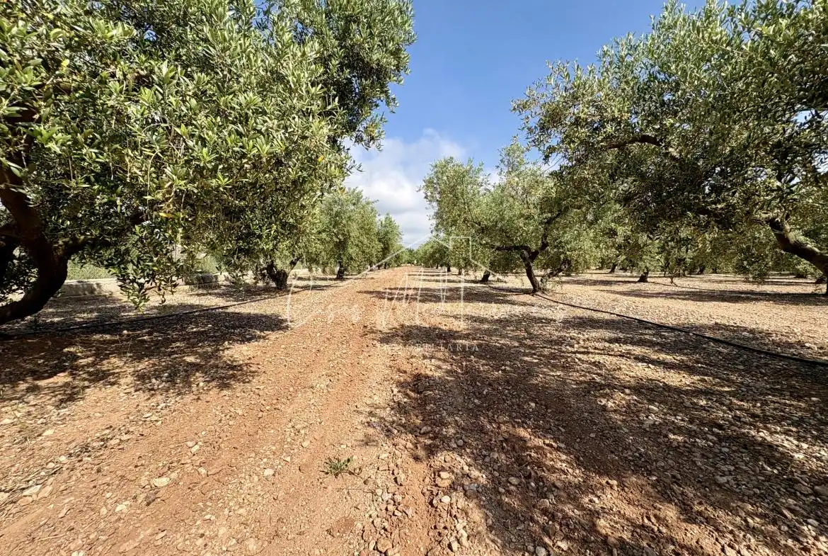 Finca rústica en venda en Mont-roig del Camp amb Aire condicionat, Calefacció i Jardí privat