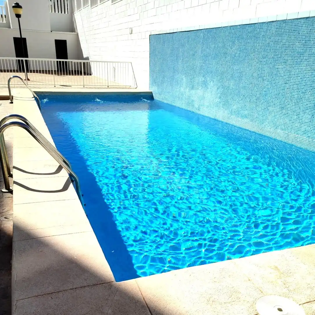 Swimming pool of Flat for rent in Elche / Elx  with Terrace, Furnished and Community pool
