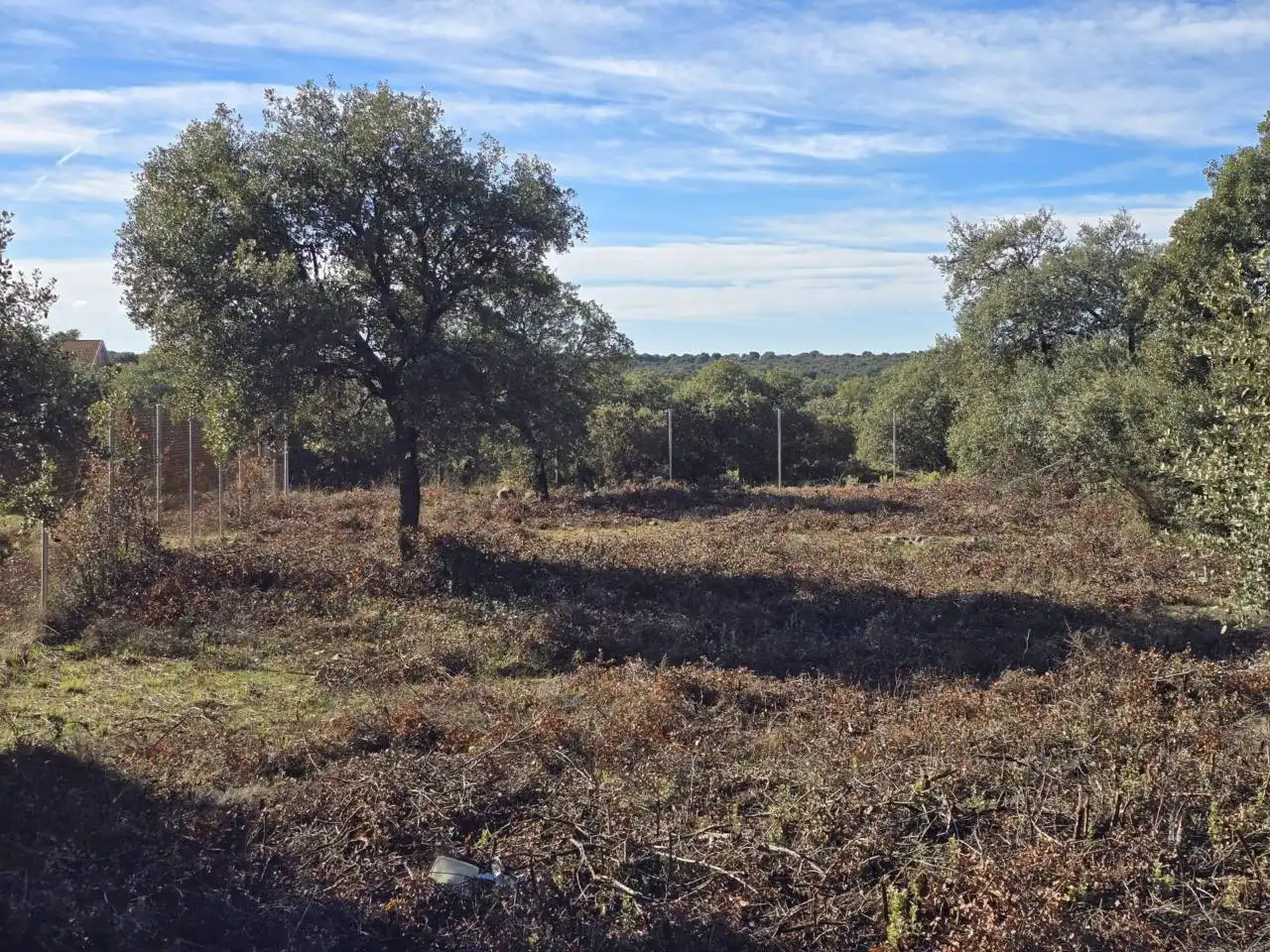 Terreno residencial en venta en Pioz, imagen 5