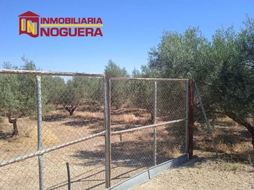 Terreno rustico in vendita a La Carlota
