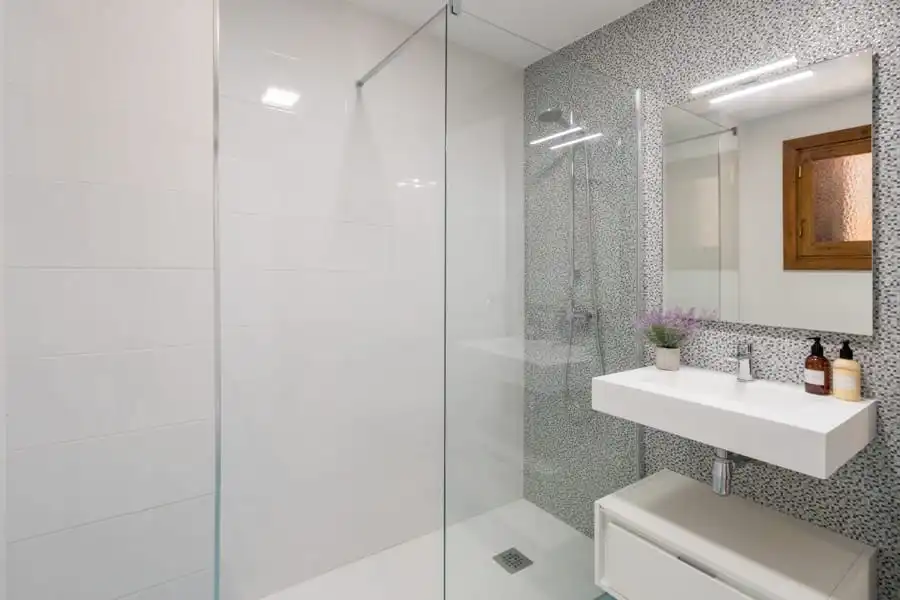 Bathroom of Apartments for rent in Centro