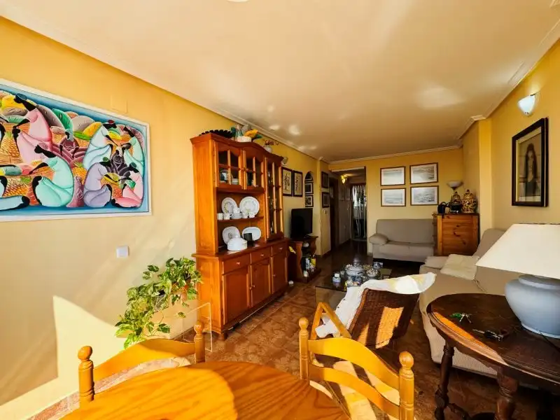 Sala d'estar de Apartament en venda en Torrevieja amb Terrassa, Piscina i Moblat