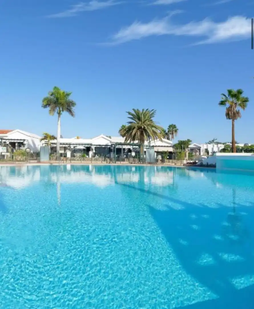 Swimming pool of Houses for sale in San Bartolomé de Tirajana  with Air Conditioner, Private garden and Terrace