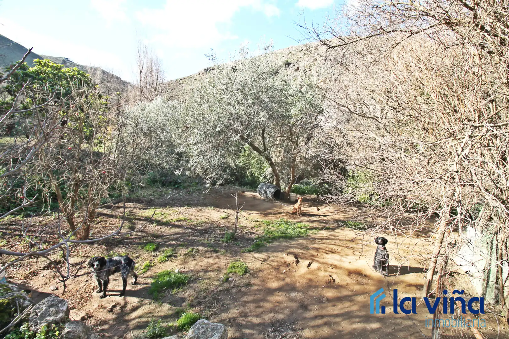 Casa o chalet en venta en Nívar con Trastero y Amueblado