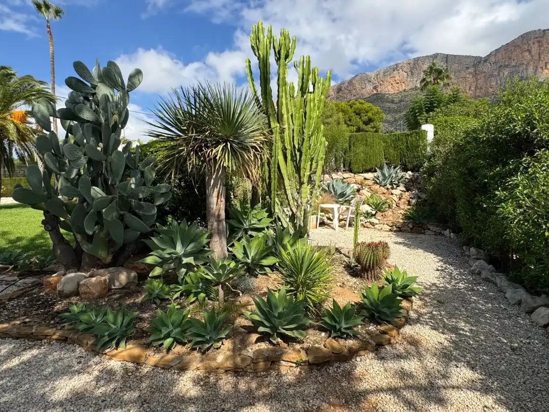 Jardín de Casa o chalet en venta en Montgó - Ermita