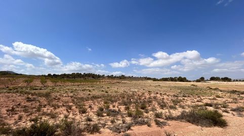 Terreno Jumilla zona Paraje Chamaleta, immagine 2