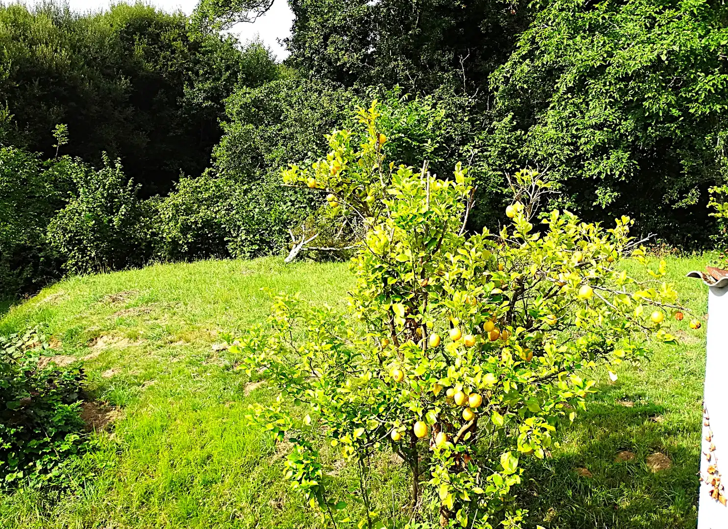 Finca rústica en venda en Narón amb Calefacció, Jardí privat i Parquet