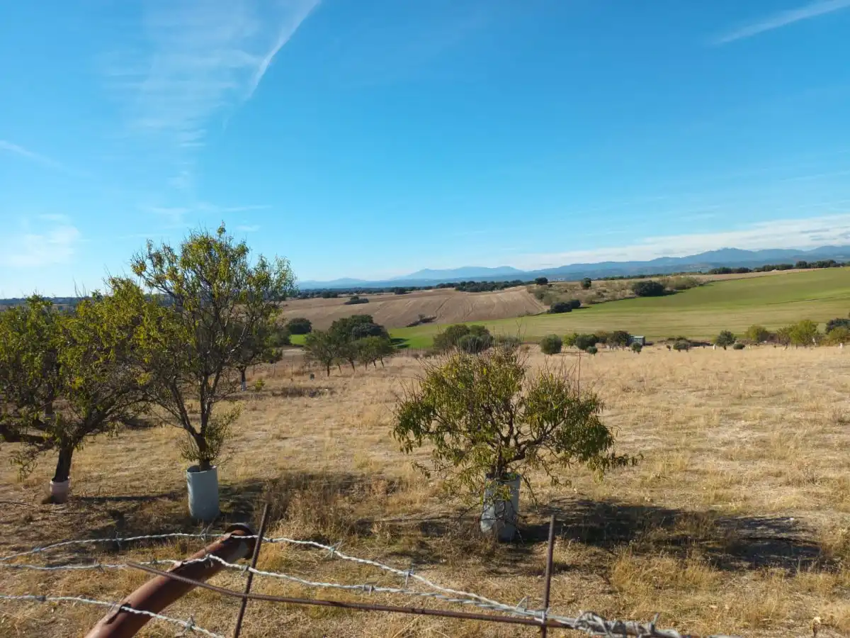 Finca rústica en venta en Brunete