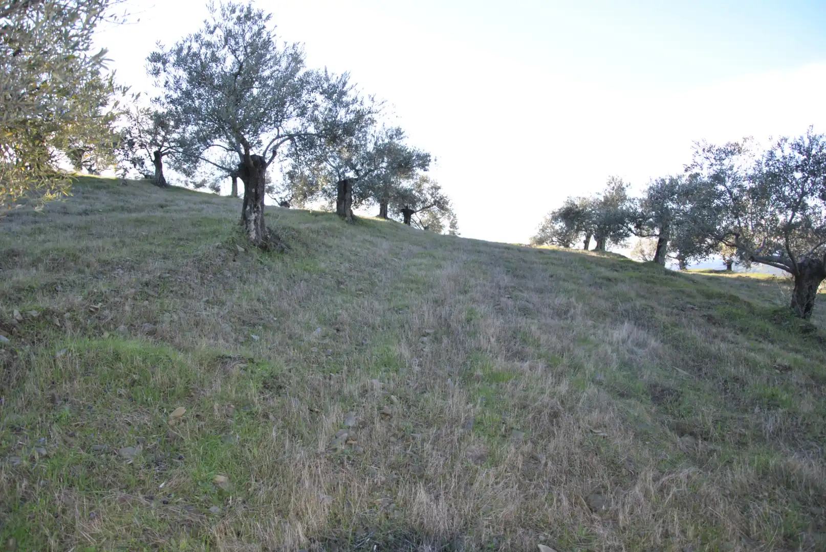Terreno en venta en La Pesga 