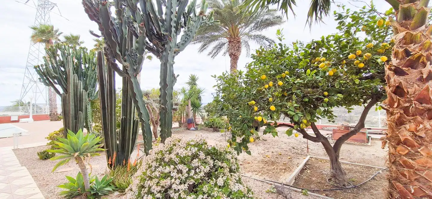 Jardí de Casa o xalet en venda en Elche / Elx amb Aire condicionat, Jardí privat i Traster