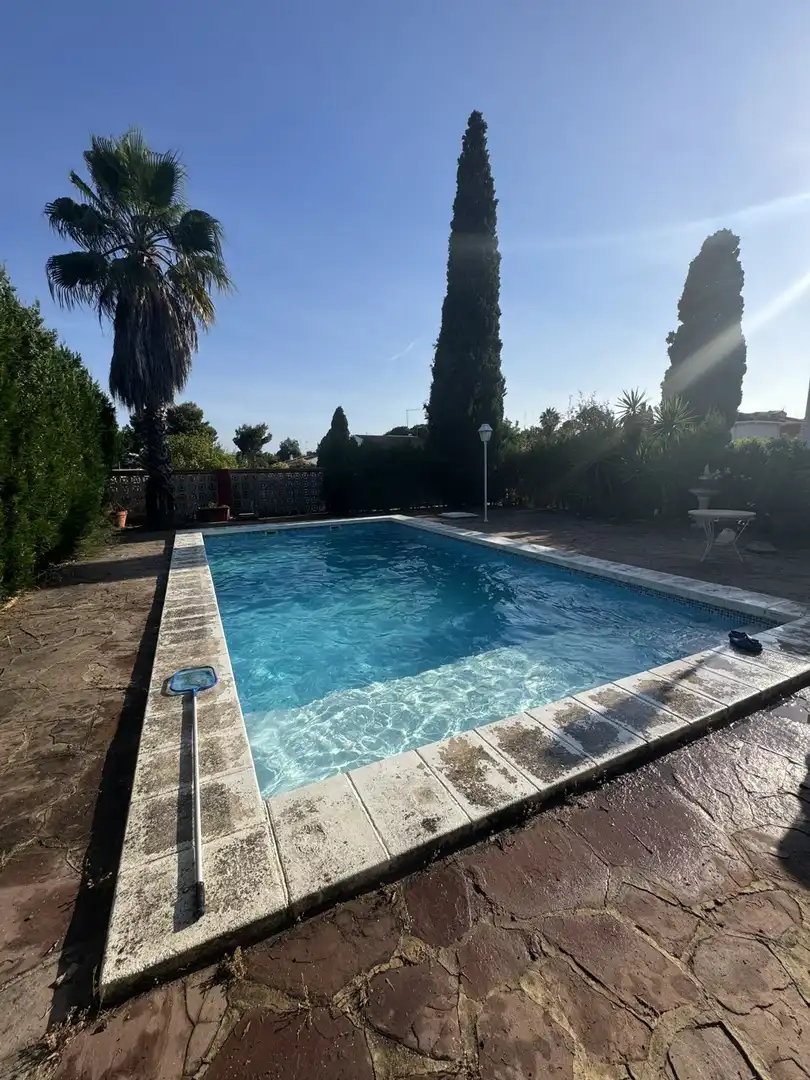 Piscina de Casa o chalet en venta en Torrent con Terraza, Trastero y Piscina