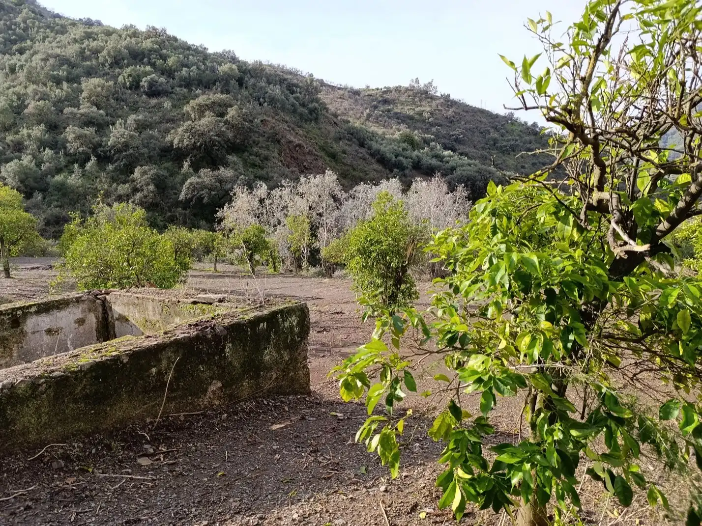 Terreno en venta en Málaga