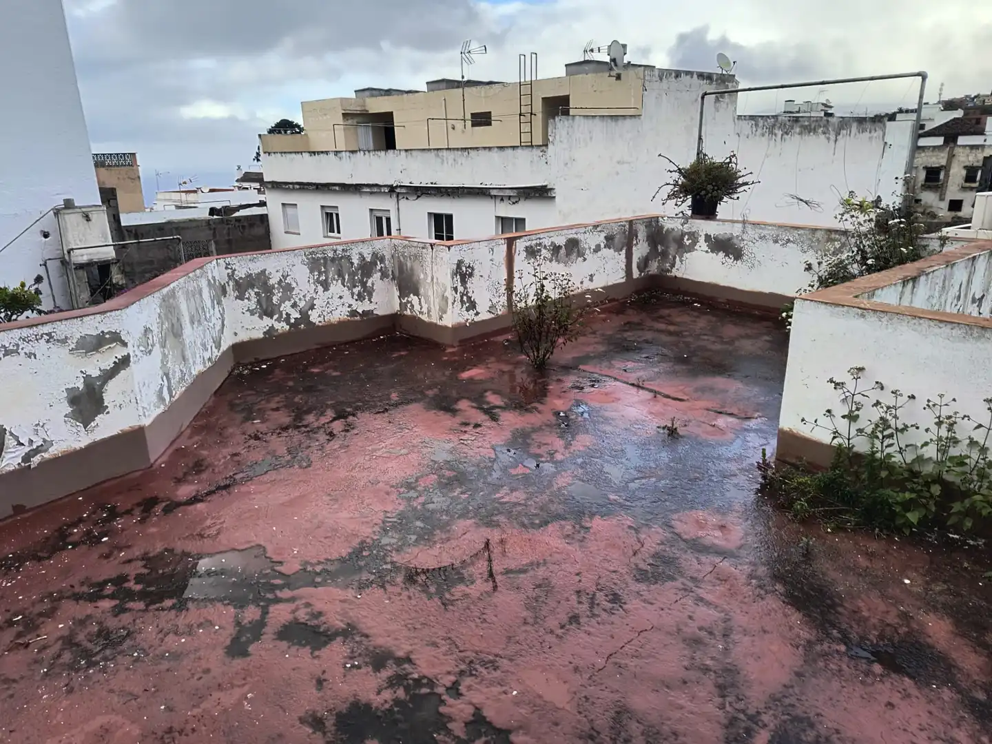 Terraza de Casa o chalet en venta en Los Realejos con Jardín privado, Terraza y Amueblado