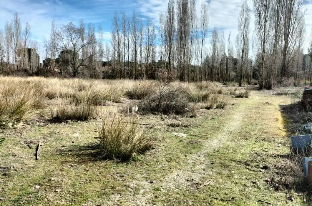 Lands and plots for sale in Calle Paloma, Sector 9 La Estación, imagen 8