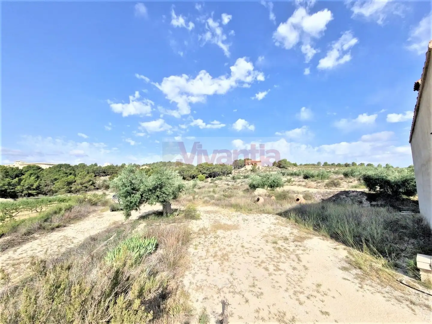 Casa o chalet en venta en Lorca