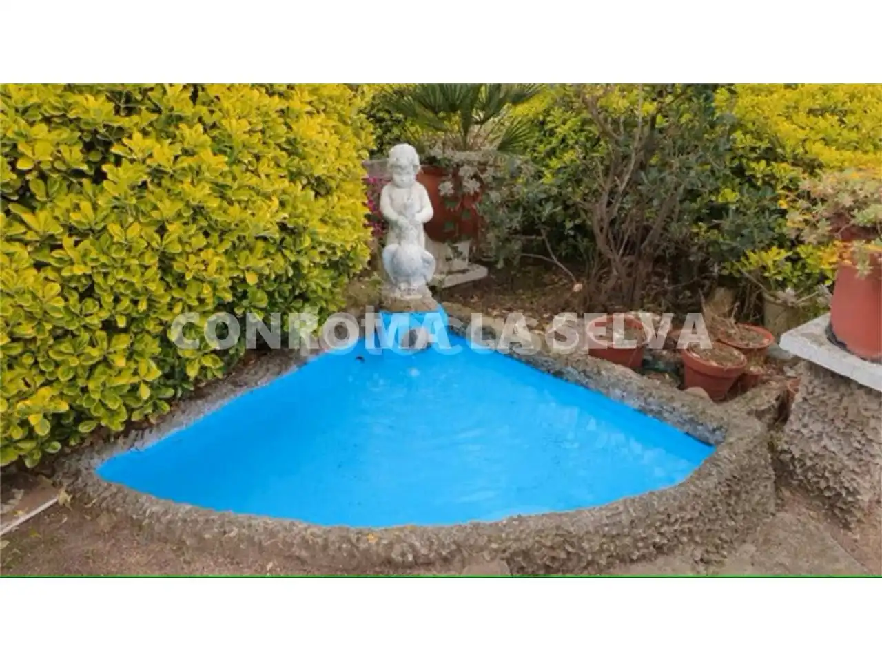 Maison avec piscine à vendre à Mas Altaba - El Molí, imagen 19