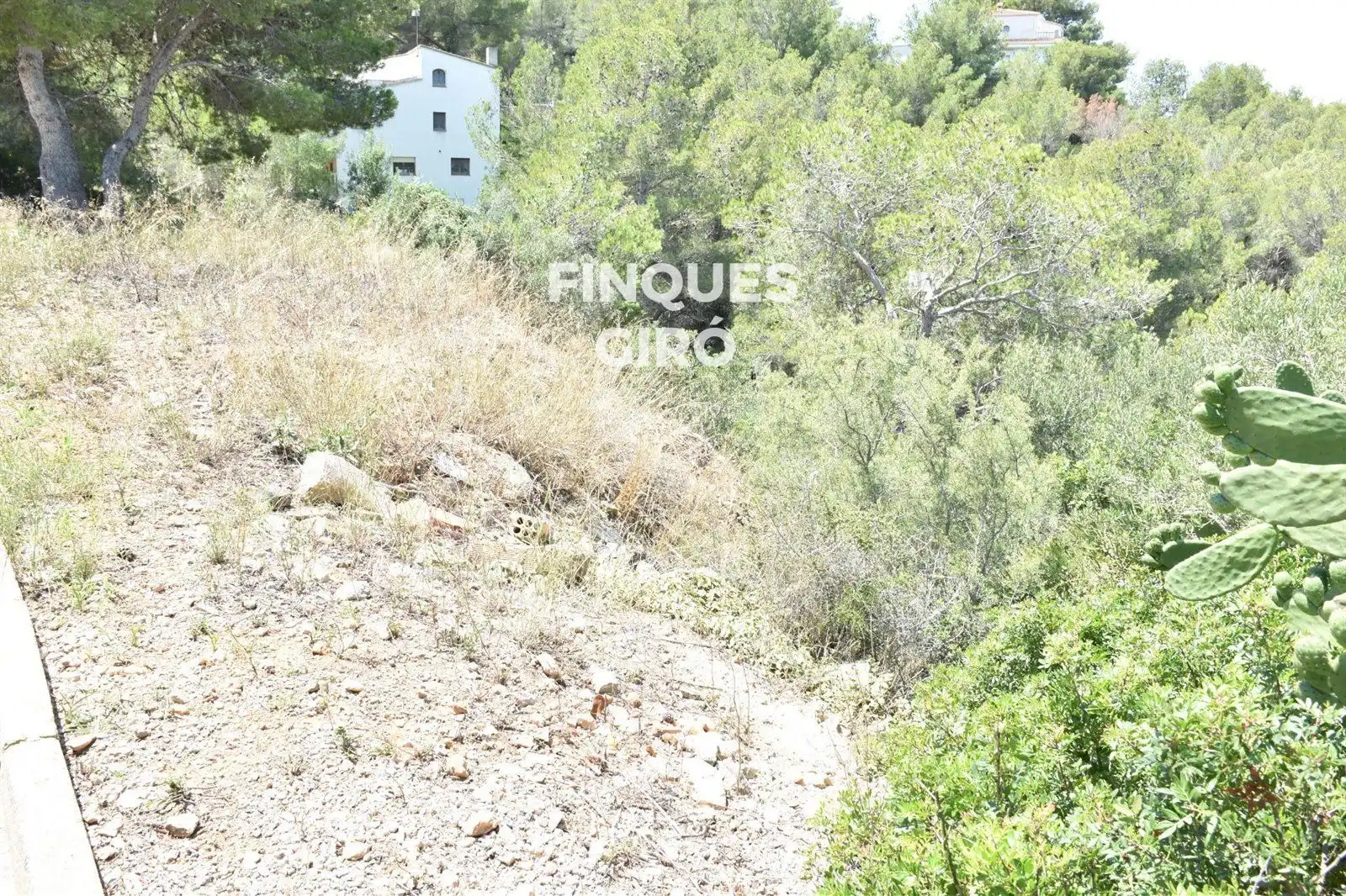 Rural land for sale in TER-UR CAN GORDEI, imagen 4