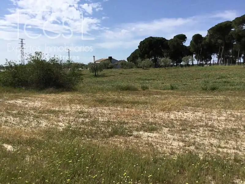 Finca rústica en venda en Almonte amb Terrassa i Moblat