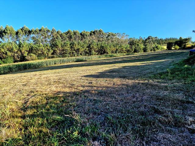 Terreno residencial en Venta en Lugar la ponte en El Franco