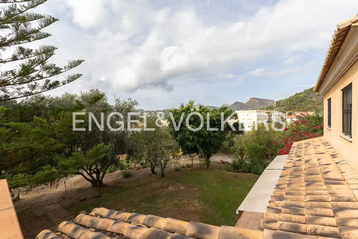 Casa con terraza en alquiler en Polígono 2 Parcela 127 PONERA. PETRES (VALENCIA), imagen 48