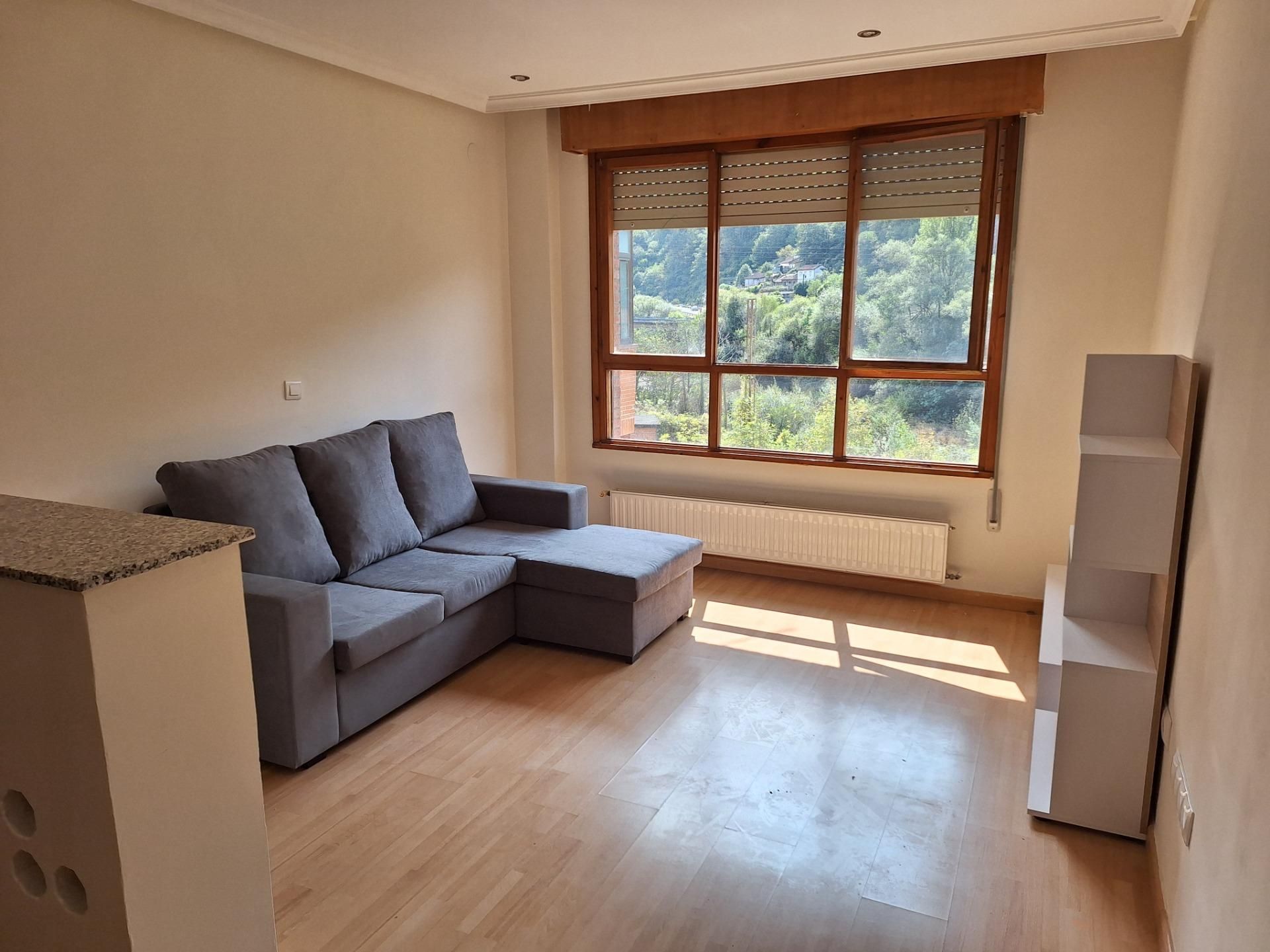 Sala d'estar de Planta baixa en venda en Mieres (Asturias) amb Balcó