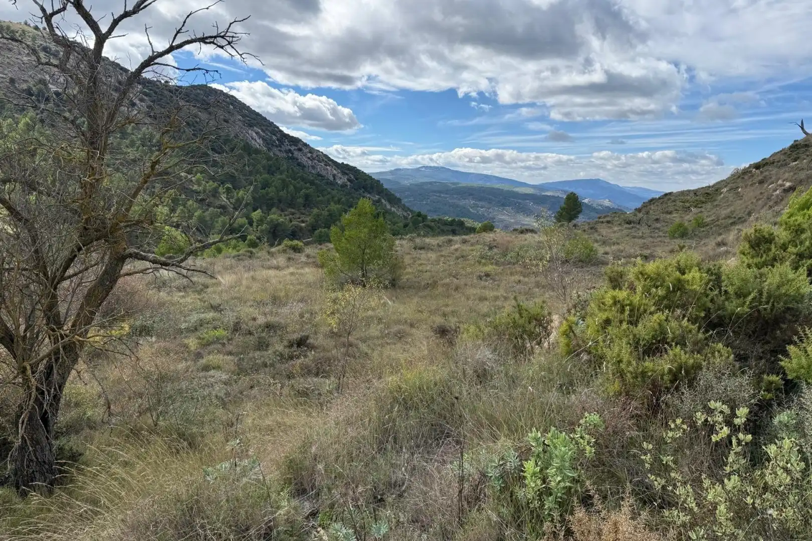 Residential for sale in Confrides