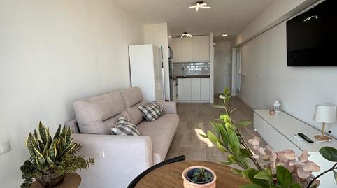 Foto 2 de Estudio de alquiler en Calle Luis Vives, Solymar, Málaga