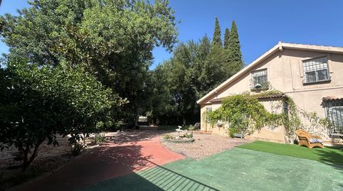 EXCLUSIVA FINCA SEÑORIAL CON TRES VIVIENDAS Y PISCINA EN UNA DE LAS MEJORES ZONAS DE CÓRDOBA, imatge 3