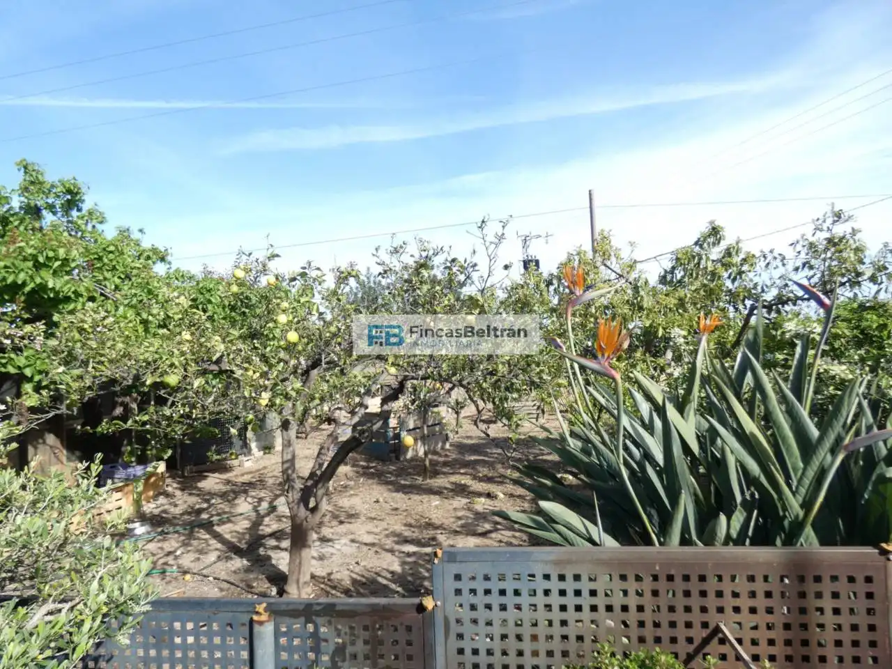 Finca rústica en venda en Benicarló amb Jardí privat i Moblat