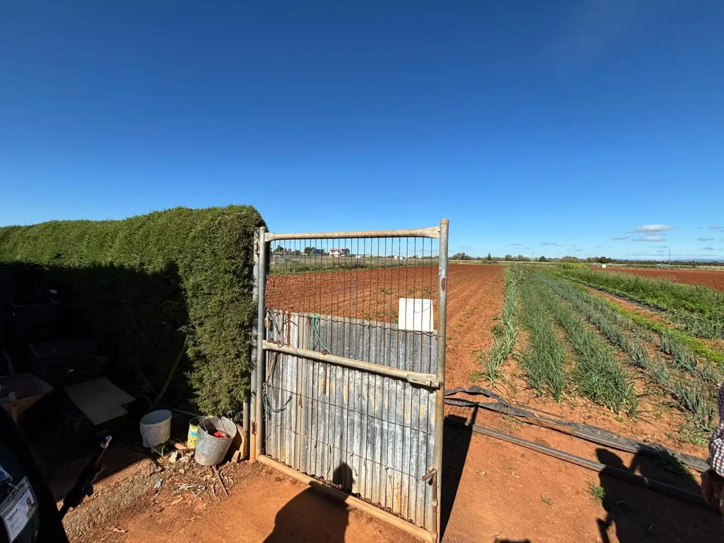 Country homes for sale in Sevilla  with Swimming Pool